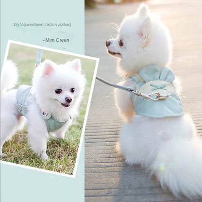 Cute Bear Dog Harness & Leash Set