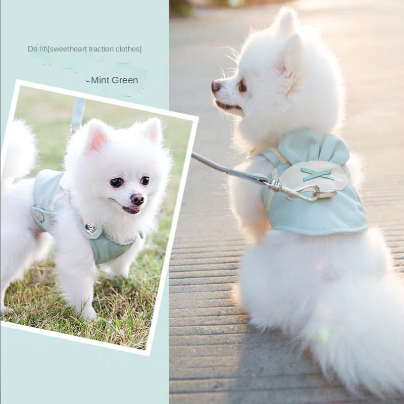 Cute Bear Dog Harness & Leash Set