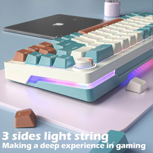Hot-Swap-fähige mechanische RGB-Tastatur mit Tasten