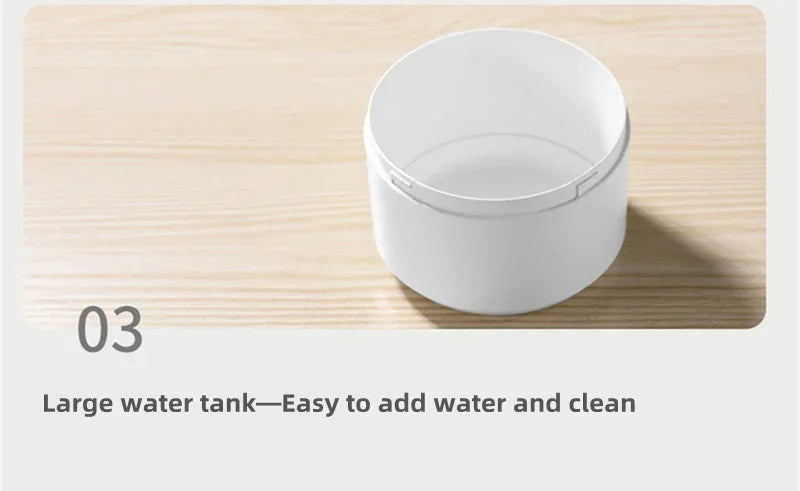 Elektrischer Ultraschall-Luftbefeuchter mit Doppeldüse und starkem Nebel, USB