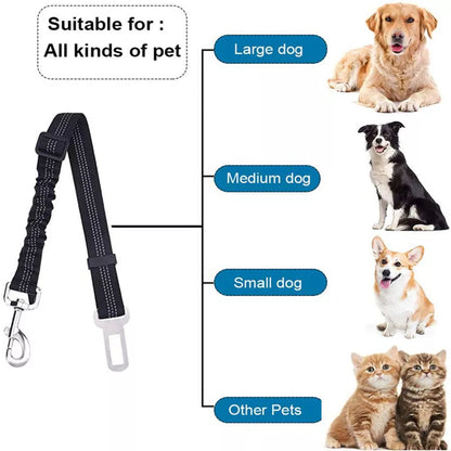 Reflective Dog Seat Belt & Leash Combo