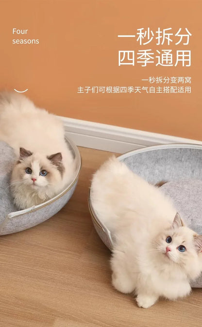 Interactive Cat Tunnel Bed - Kitty's Playful Paradise