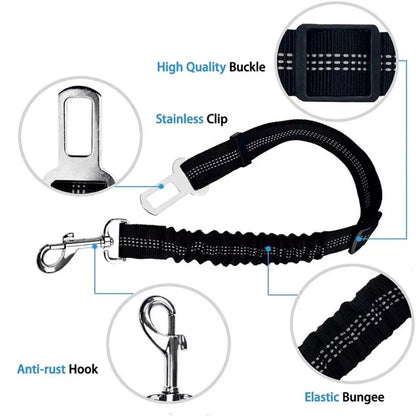 Reflective Dog Seat Belt & Leash Combo