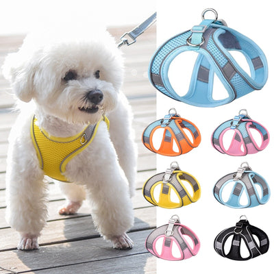 Breathable Small Dog Harness Set