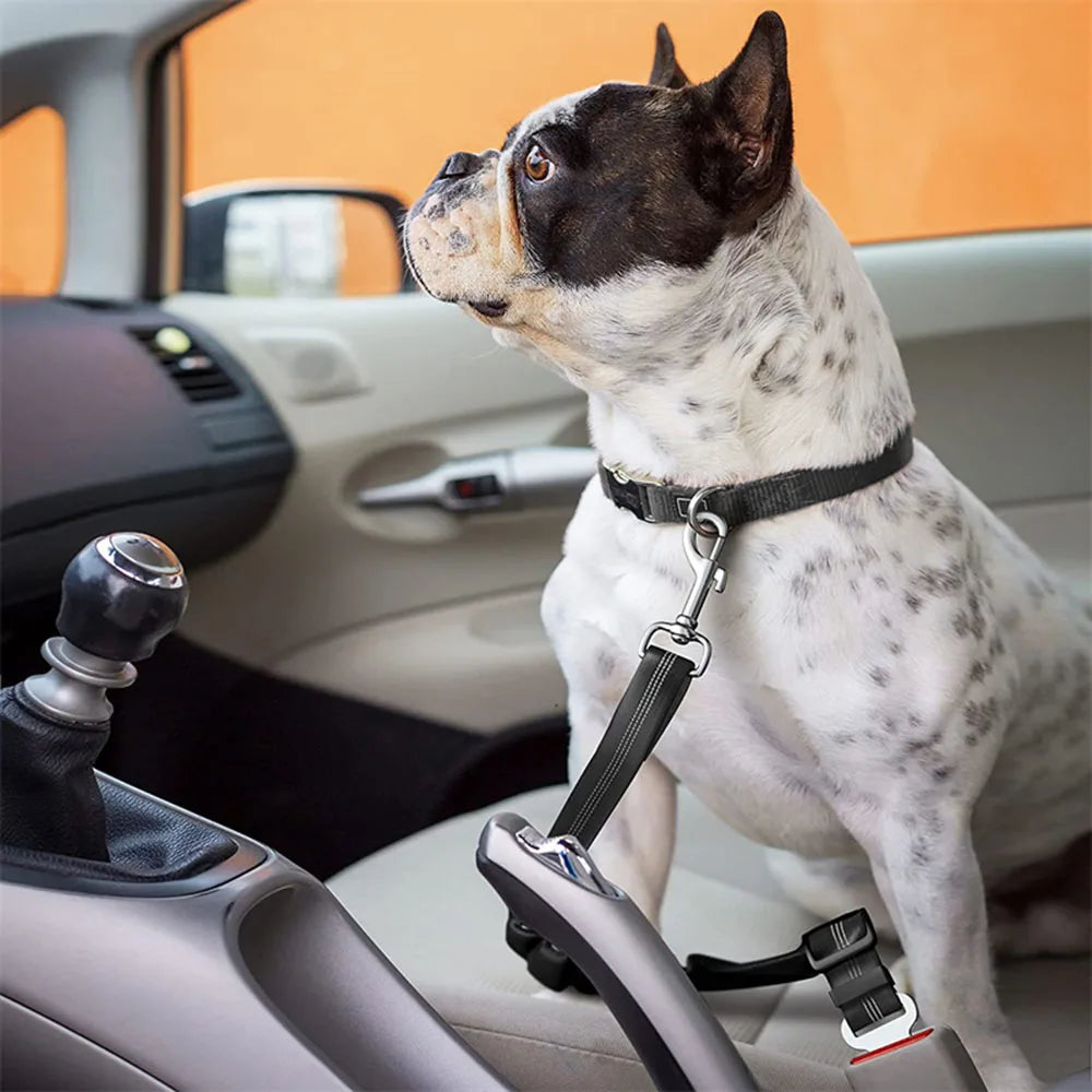 Reflective Dog Seat Belt & Leash Combo