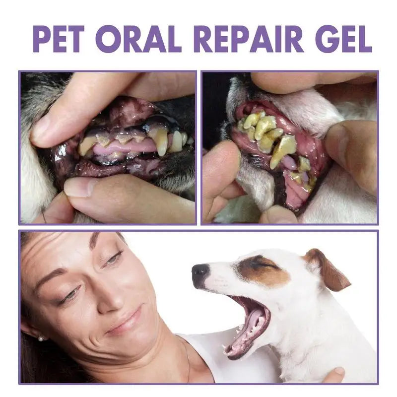 Pet Dental Gel – Frischer Atem und Fleckenentferner