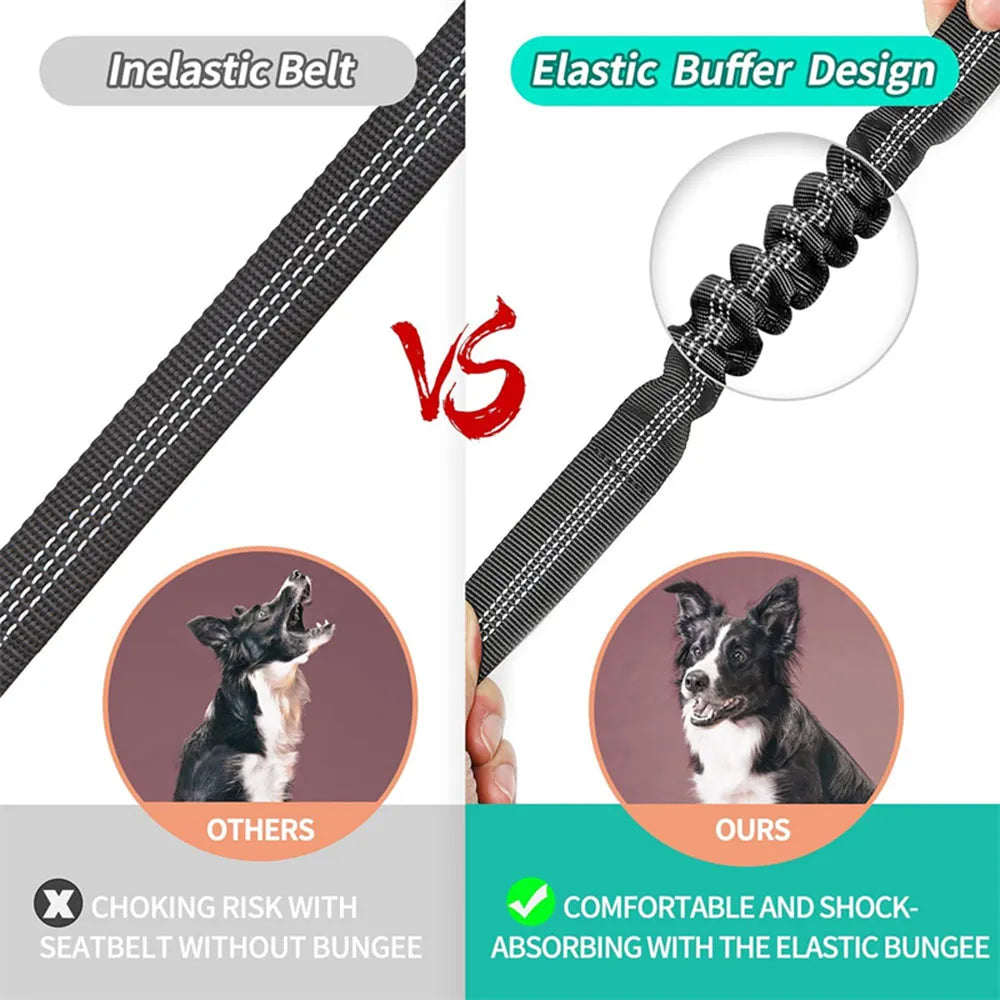 Reflective Dog Seat Belt & Leash Combo