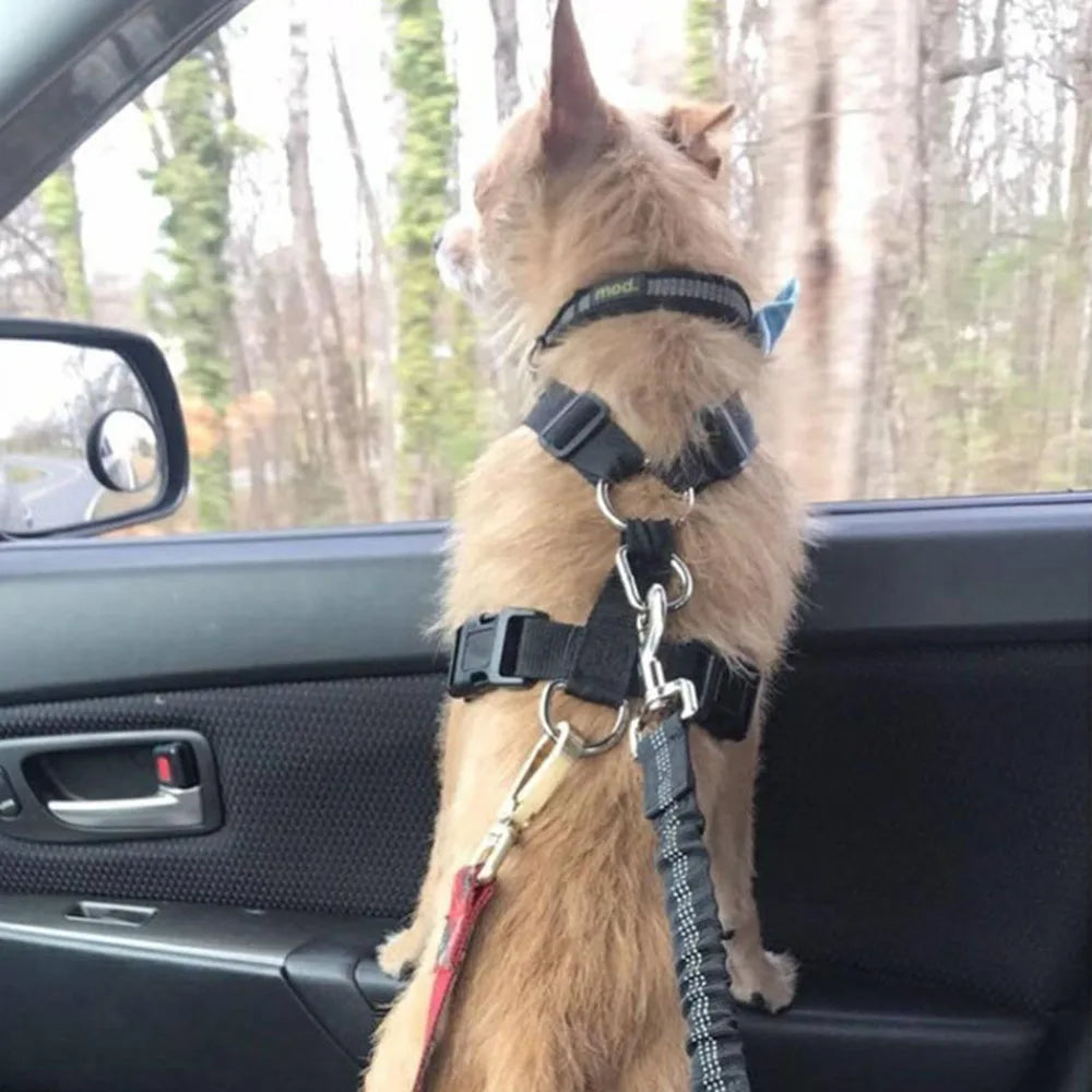 Adjustable Pet Car Seat Belt for Safety