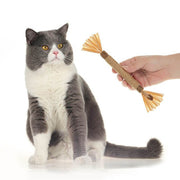 Cat Molar Stick-Fun Teeth-Cleaning Toy