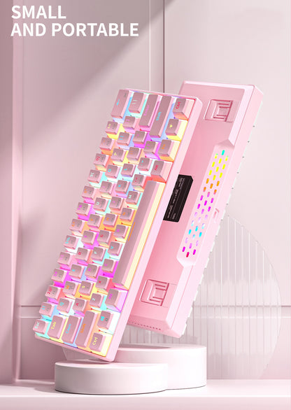 Niedliche rosa Gaming-Tastatur mit 61 Tasten 🎮