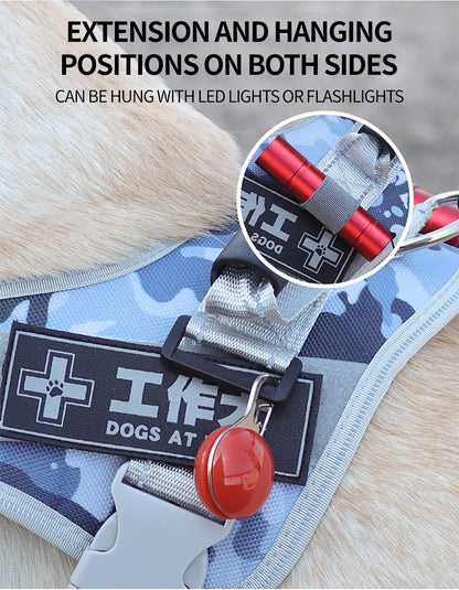 Reflective Dog Harness for Outdoor Training