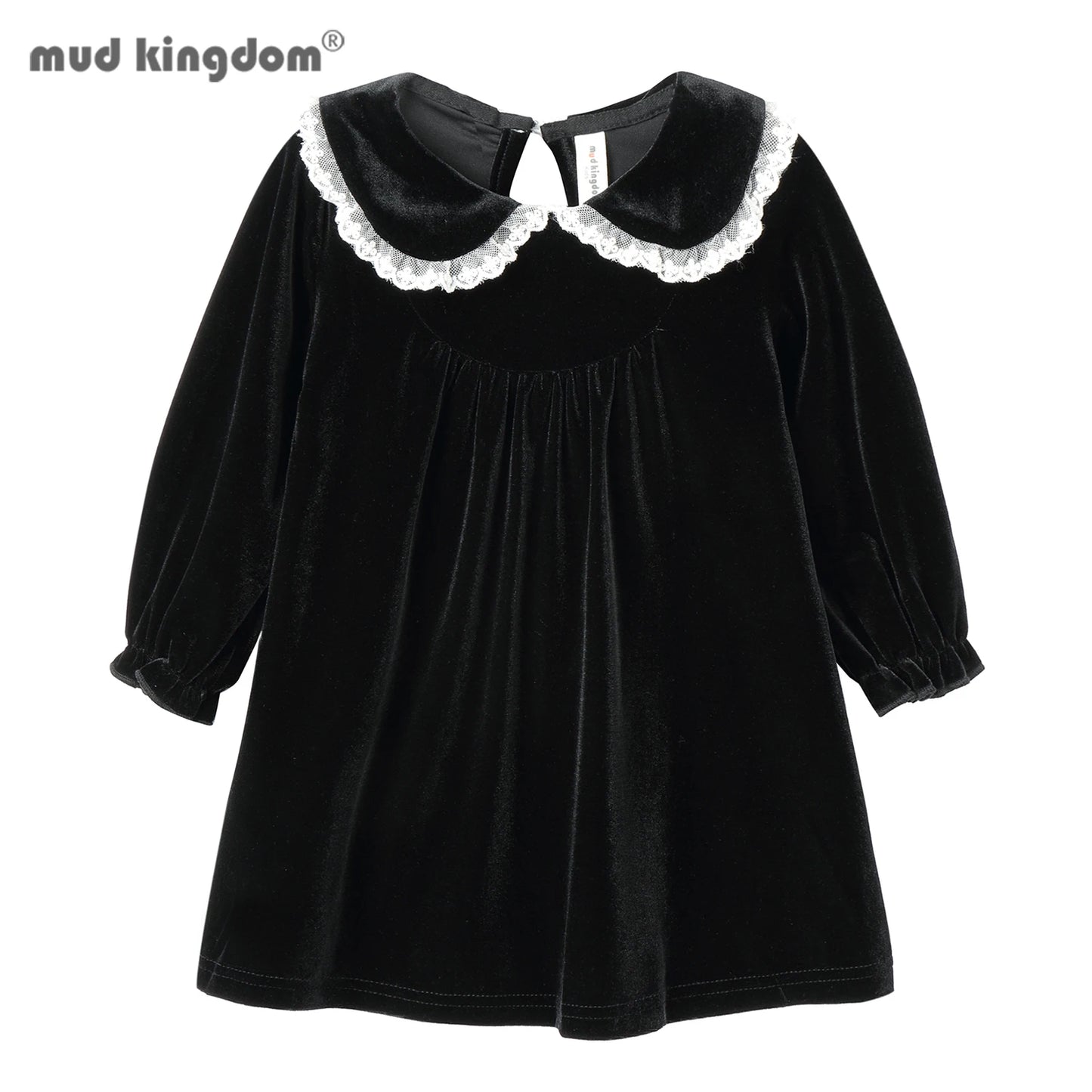 Lace Velvet Peter Pan Collar Dress