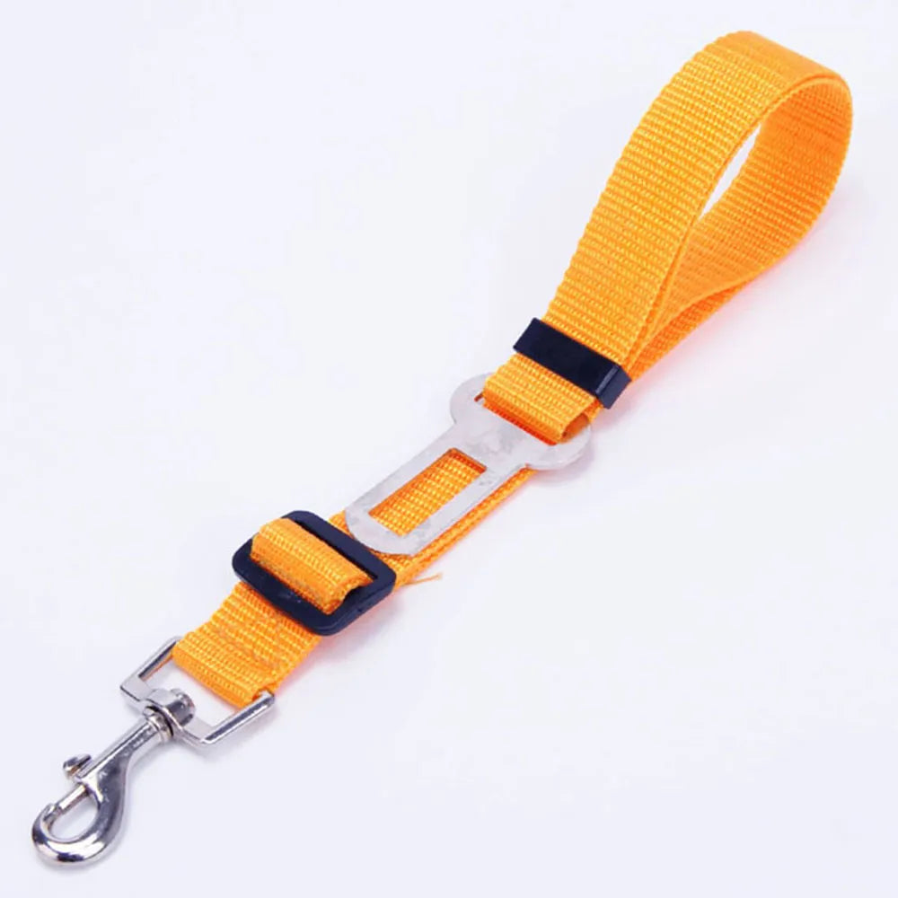 Reflective Dog Seat Belt & Leash Combo