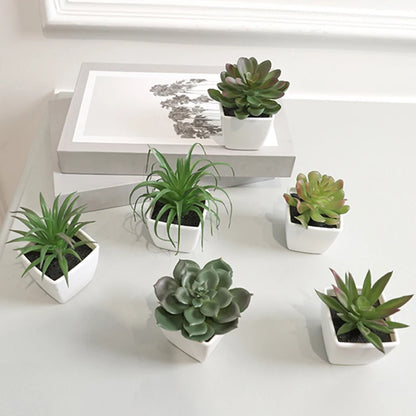 Simulated Succulent Pot Plants for Home Decoration