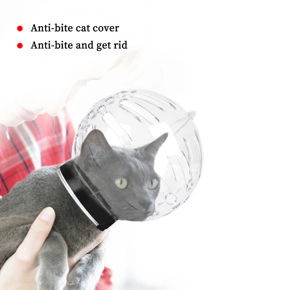 Atmungsaktive Anti-Biss-Weltraummaske für Katzen