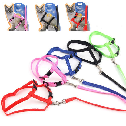 kitten harness, cat harness, cat leash, cat harness and leash, kitten harness and leash, best cat harness and leash, best harness for cats