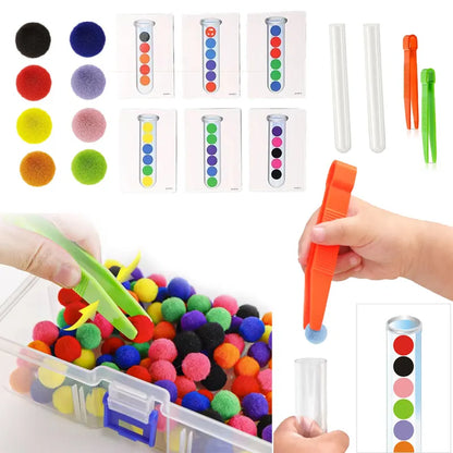 Fine Motor Sorting Set Kids Educational Toy