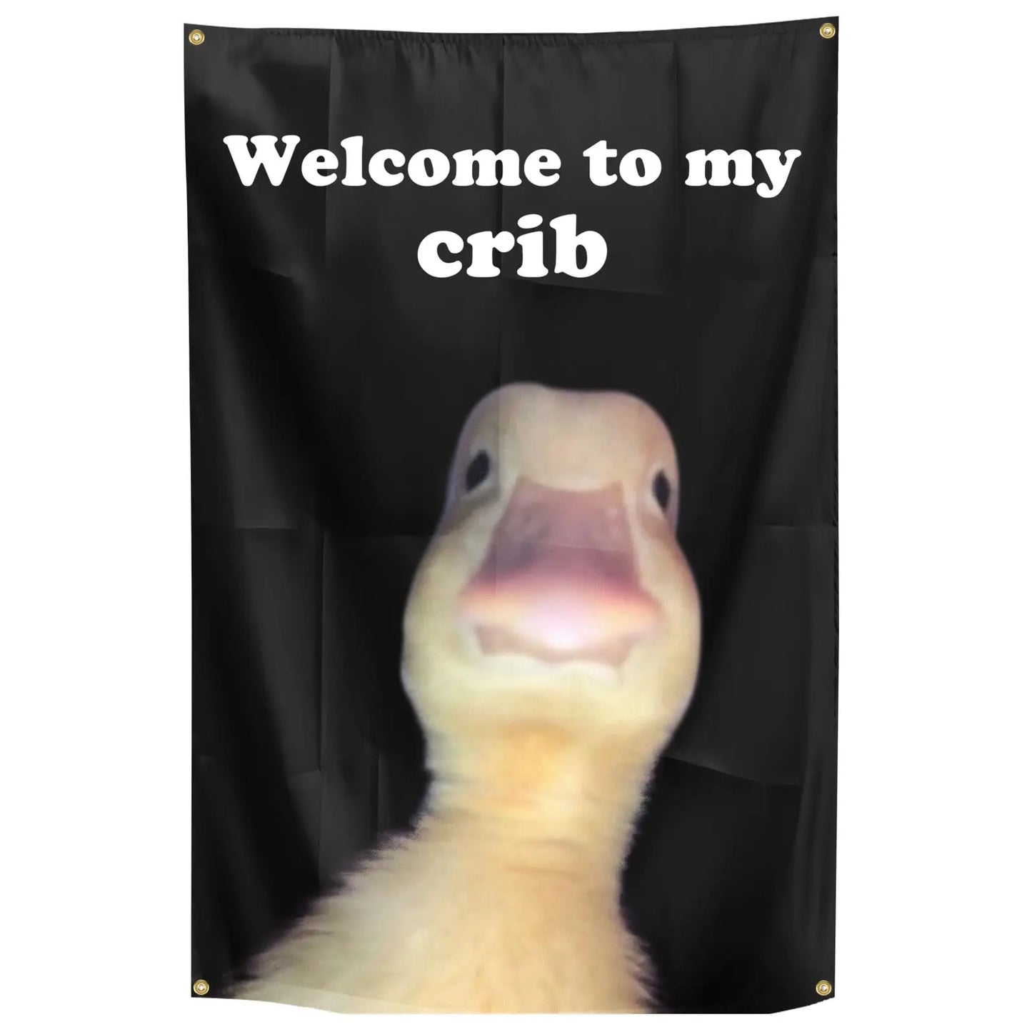 "Welcome to My Crib" Funny Flag 2x3 Feet with 4 Brass Grommets