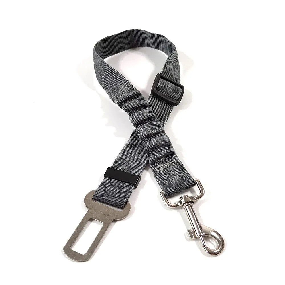 Reflective Dog Seat Belt & Leash Combo