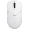 Only mouse White 1