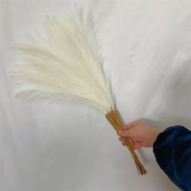 10PCS Fluffy Pampas Grass