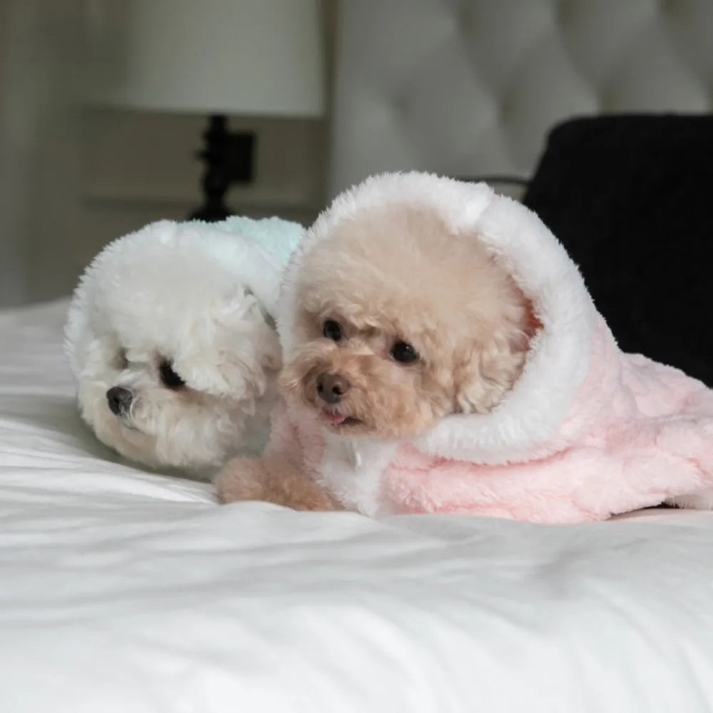 Cozy Dog Blanket and Coat Set