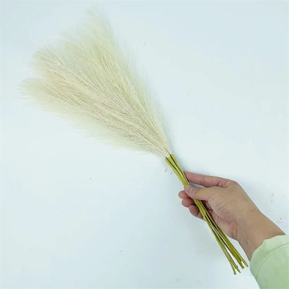 10PCS Fluffy Pampas Grass