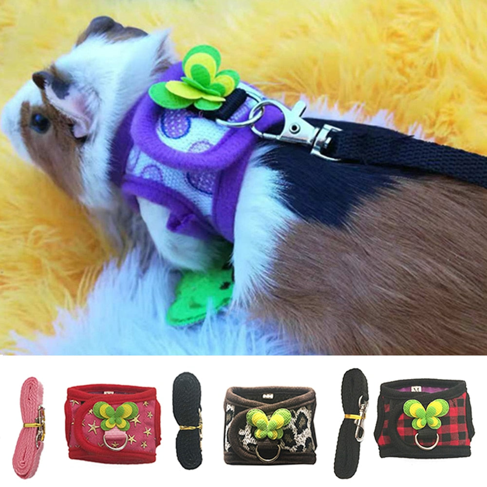 Adjustable Pet Traction Set & Harness Vest