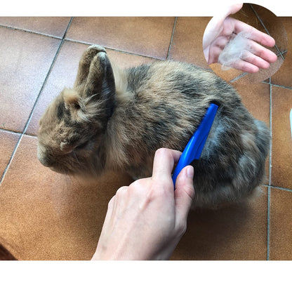 Petite brosse de toilettage pour animaux de compagnie