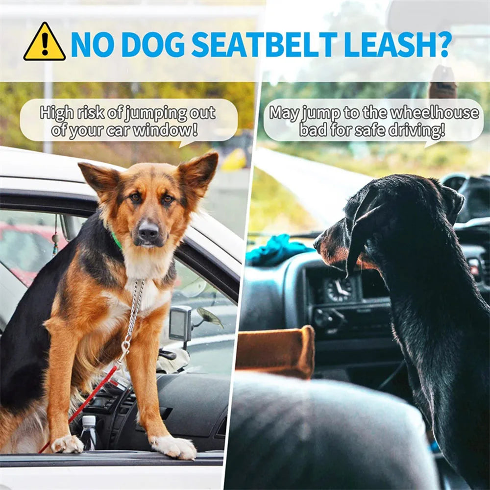 Reflective Dog Seat Belt & Leash Combo