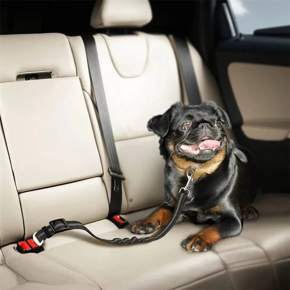 Reflective Dog Seat Belt & Leash Combo