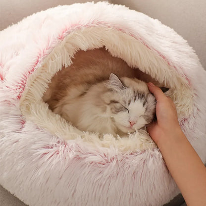 Cozy 2-in-1 Cat Bed