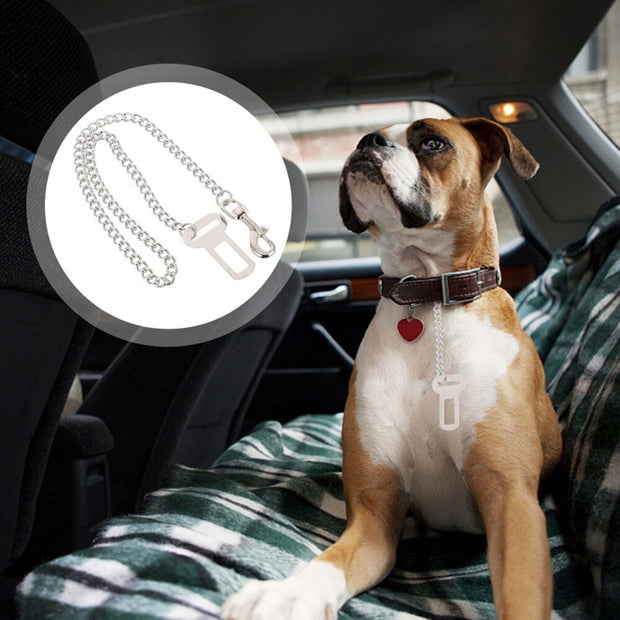 Chew-Proof Stainless Dog Seat Belt