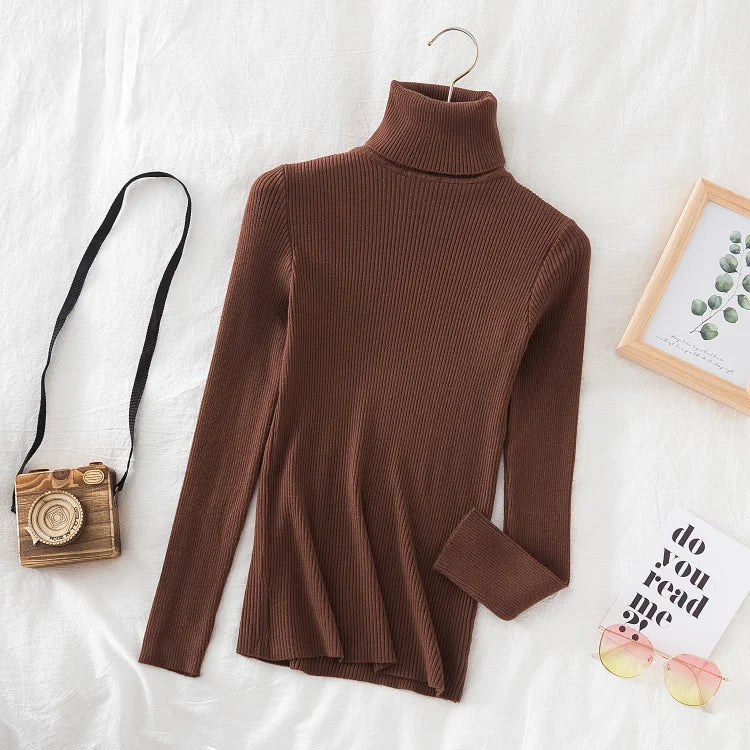 Women's Turtleneck Cashmere Sweater