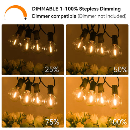 36m G40 LED Outdoor String Lights with 64 Bulbs