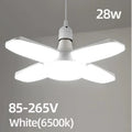 Cold White 85V-265V