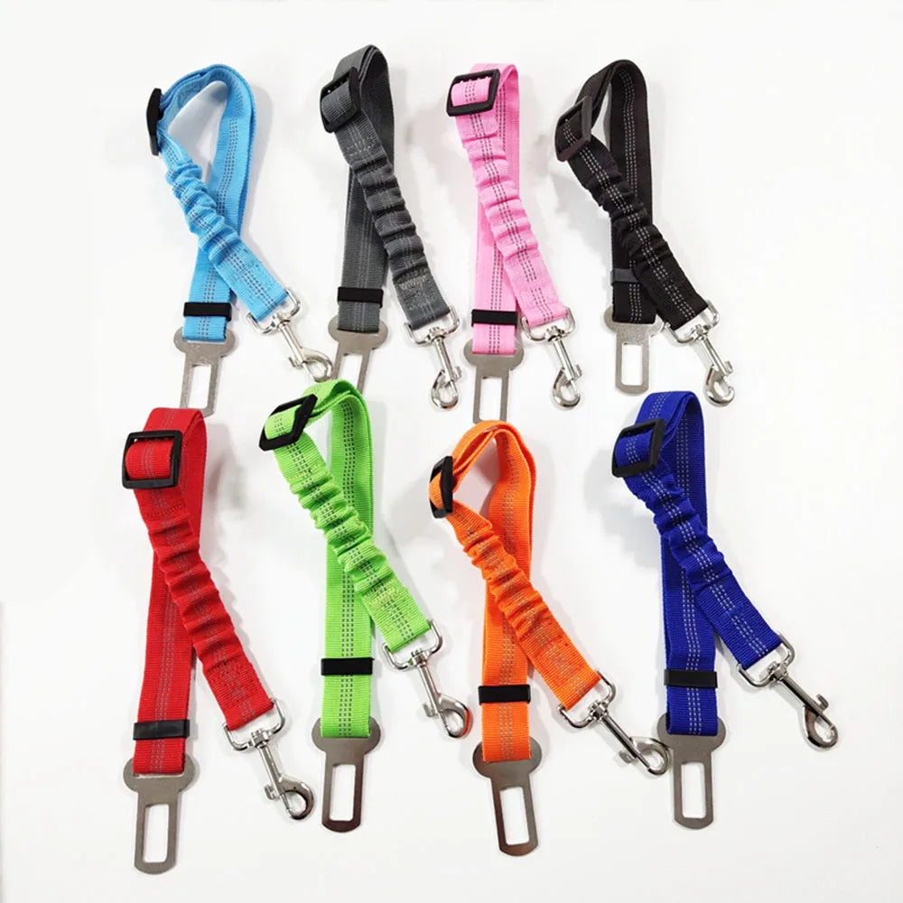 Reflective Dog Seat Belt & Leash Combo