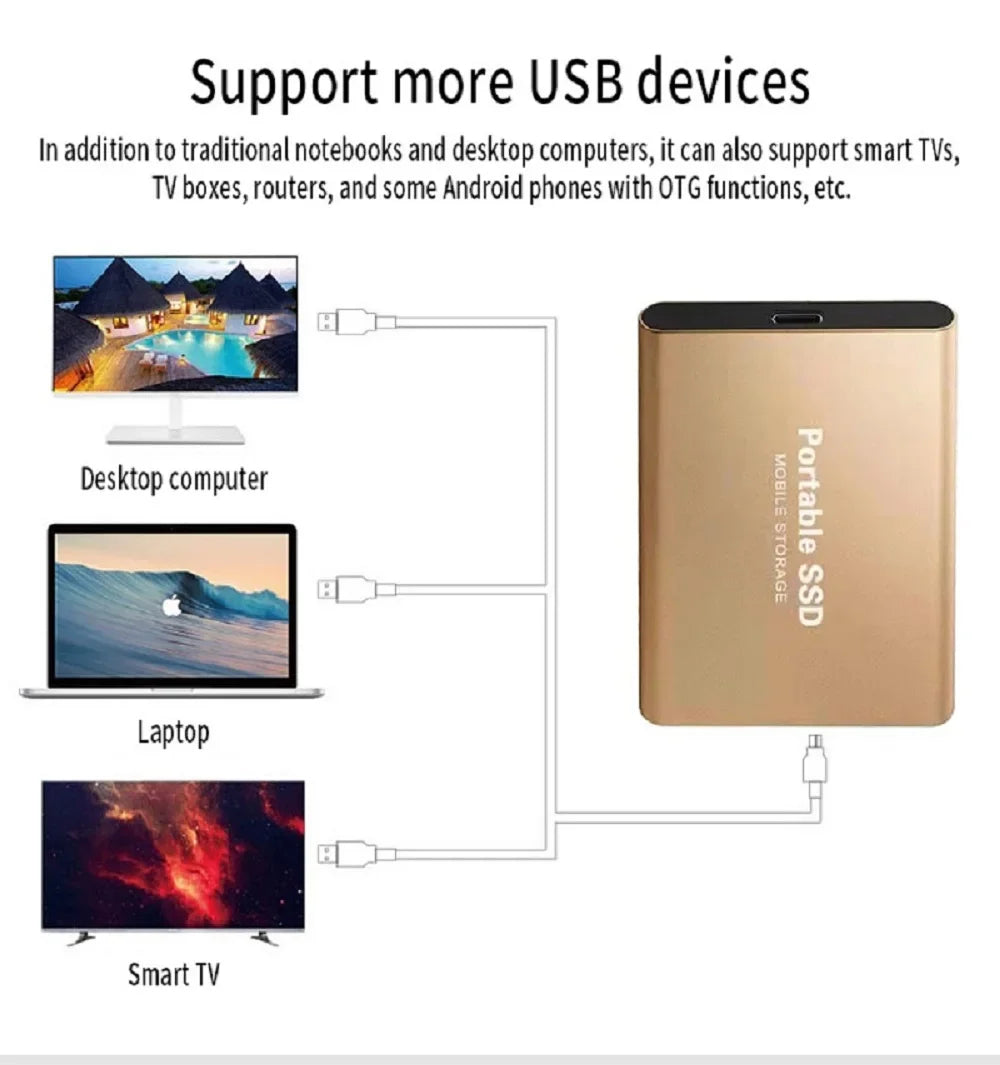 Tragbare 1 TB SSD-Hochgeschwindigkeits-Festplatte für externen Speicher