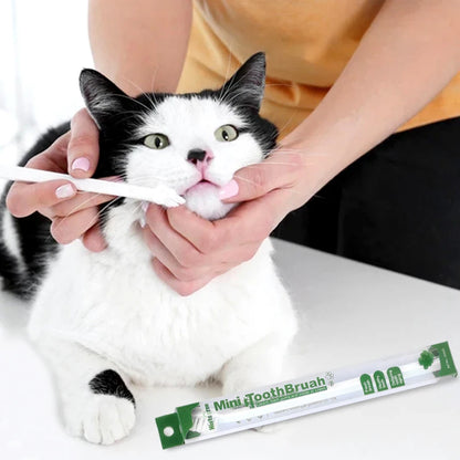 Pet Toothbrush Clean & Fresh