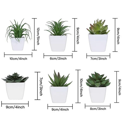 Simulierte Sukkulenten-Topfpflanzen für die Heimdekoration