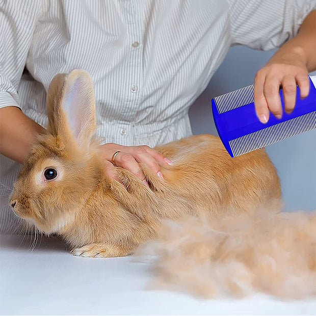 Rabbit Grooming Kit- 4Pcs Pet Care Set