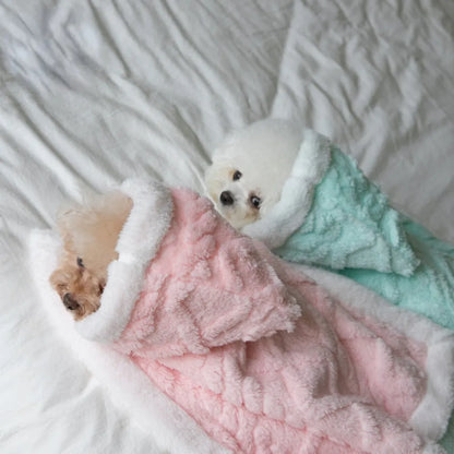 Cozy Dog Blanket and Coat Set