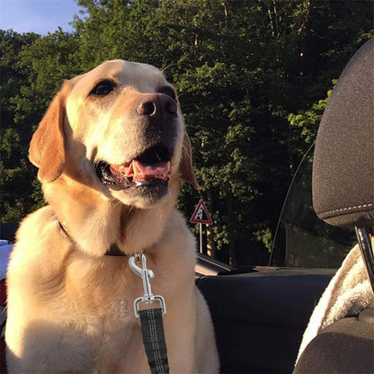 Reflective Dog Seat Belt & Leash Combo