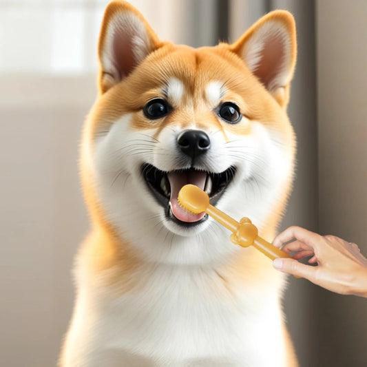 Haustier-Zahnbürsten-Set – Zahnpflege für Katzen und Hunde