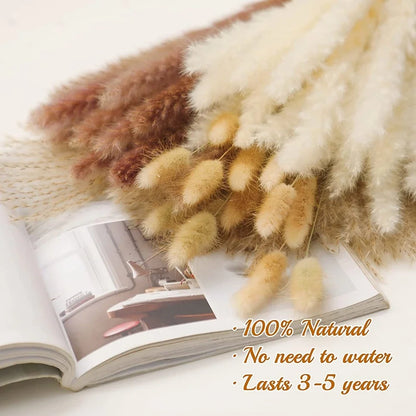 70pcs Reed Dried Flower Bouquets