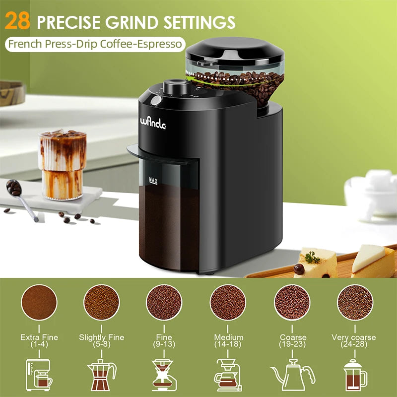 Electric Conical Burr Coffee Grinder