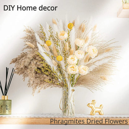 70pcs Reed Dried Flower Bouquets