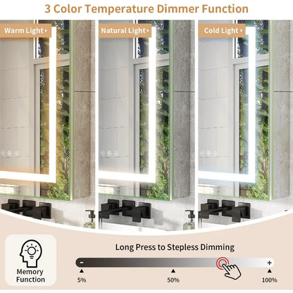 Golden Frame Wall Mount Mirror Cabinet