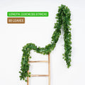 80leaves-D