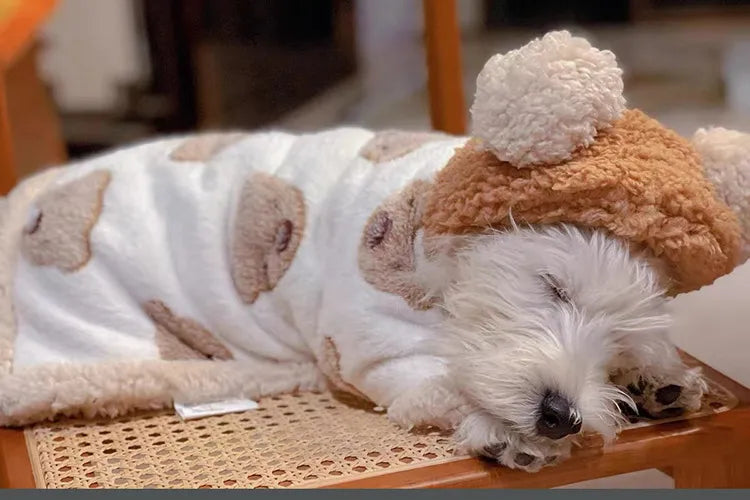 Cozy Puppy Blanket